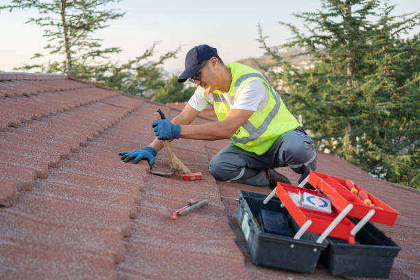 Roof Gutter Cleaning in Saratoga, WY