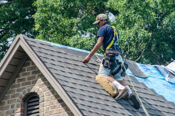 Roof Waterproofing Services in Saratoga, WY